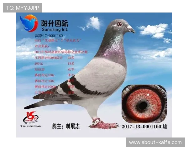 确保安全登录AG国际网页版的注意事项与账户安全防护建议