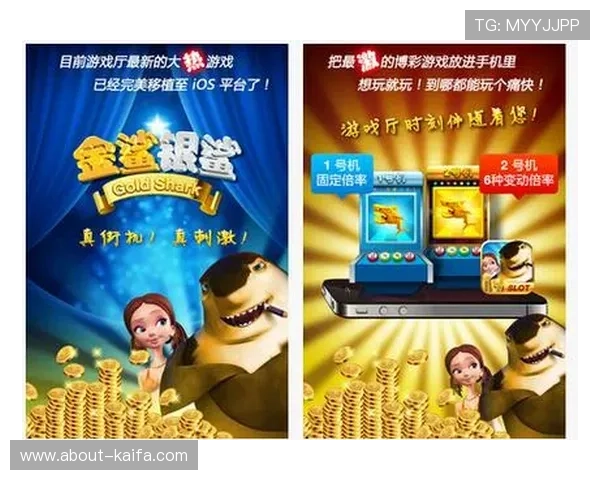 金鲨银鲨：深海探险中的财富与危险并存的精彩故事揭秘