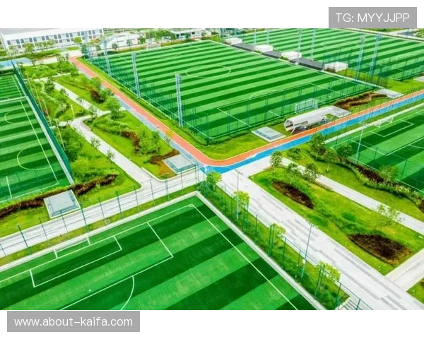 选择凯发体育网页版的理由：安全、便捷与多样化体验