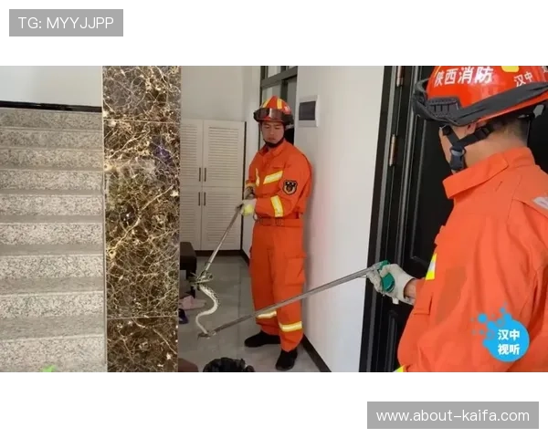 凯发德州扑克安全保障措施及账号安全维护全面解析 凯发德州扑克安全保障措施及账号安全维护全面解析