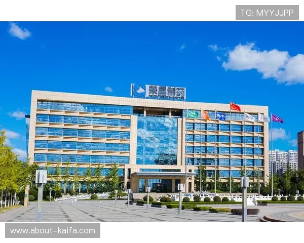 凯发k8国际首页登录入口详细指南帮助新手快速注册登录畅享丰富游戏内容